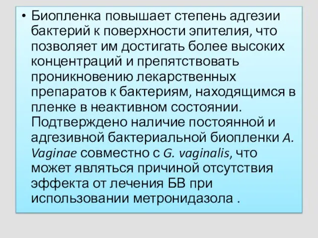 Биопленка повышает степень адгезии бактерий к поверхности эпителия, что позволяет им