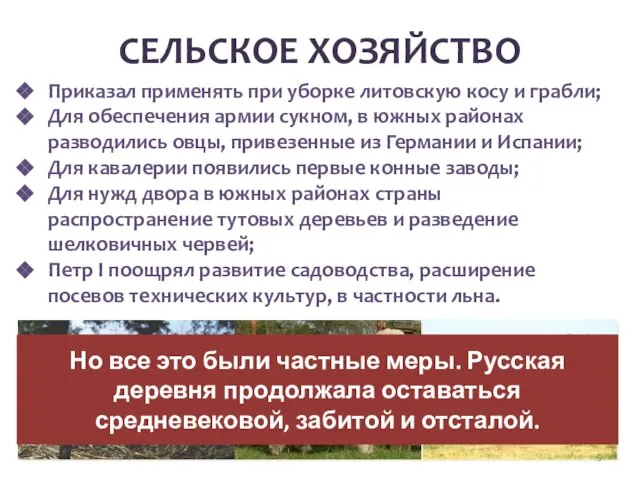 СЕЛЬСКОЕ ХОЗЯЙСТВО Приказал применять при уборке литовскую косу и грабли; Для