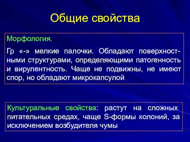 Общие свойства Морфология. Гр «-» мелкие палочки. Обладают поверхност-ными структурами, определяющими