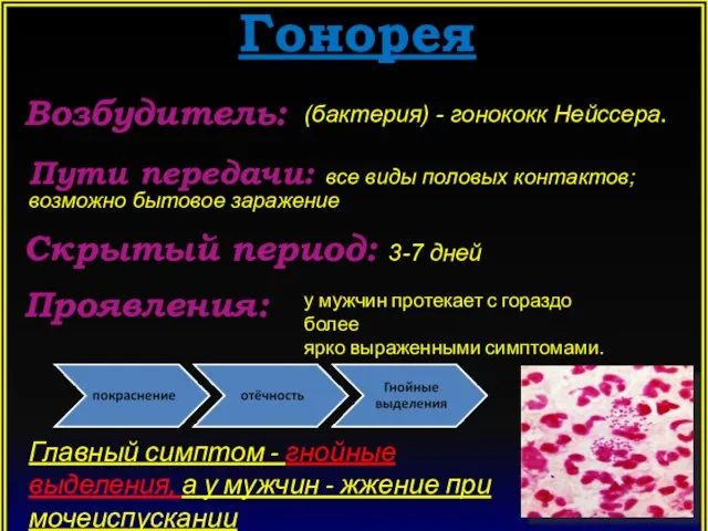 Гонорея Возбудитель: (бактерия) - гонококк Нейссера. Пути передачи: все виды половых