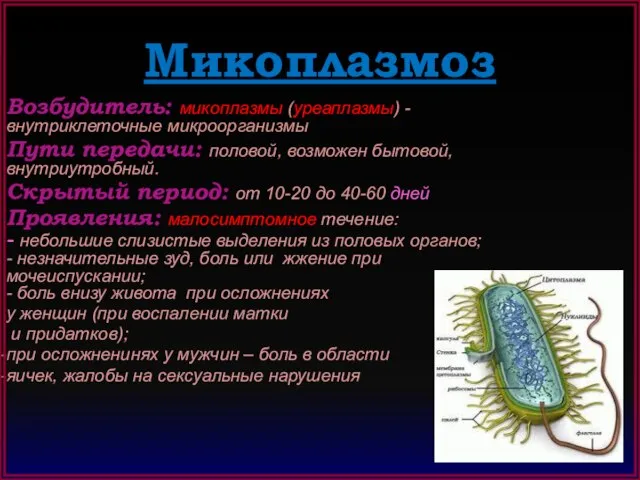 Микоплазмоз Возбудитель: микоплазмы (уреаплазмы) - внутриклеточные микроорганизмы Пути передачи: половой, возможен