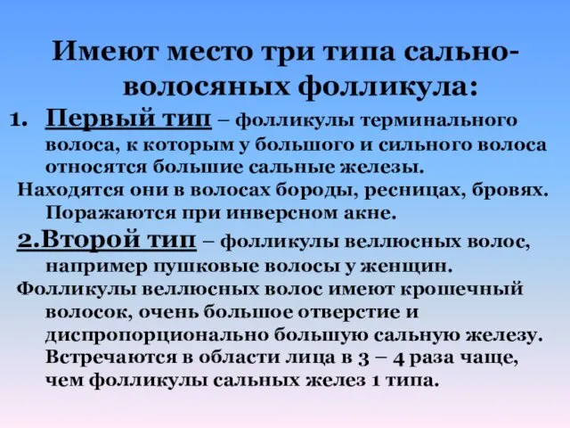 Имеют место три типа сально-волосяных фолликула: Первый тип – фолликулы терминального