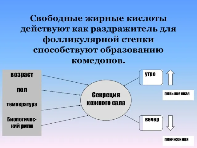 Свободные жирные кислоты действуют как раздражитель для фолликулярной стенки способствуют образованию комедонов.