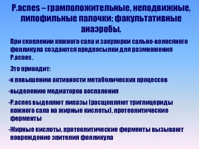 P.acnes – грамположительные, неподвижные,липофильные палочки; факультативные анаэробы. При скоплении кожного сала