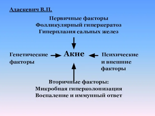 Адаскевич В.П. Первичные факторы Фолликулярный гиперкератоз Гиперплазия сальных желез Генетические Акне