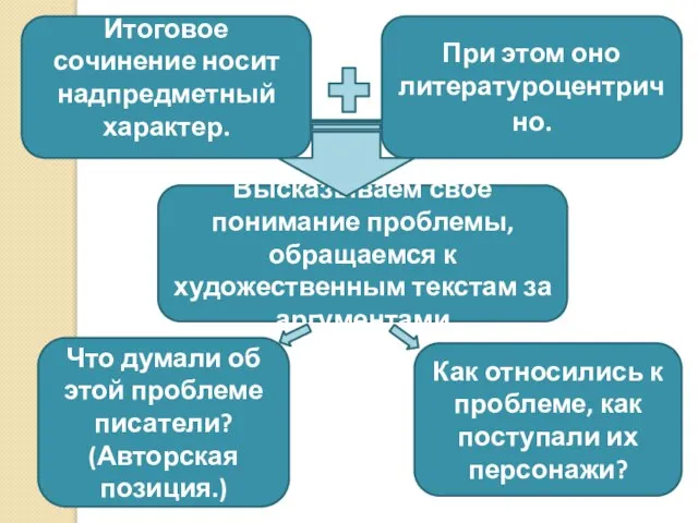 Итоговое сочинение носит надпредметный характер. При этом оно литературоцентрично. Высказываем свое