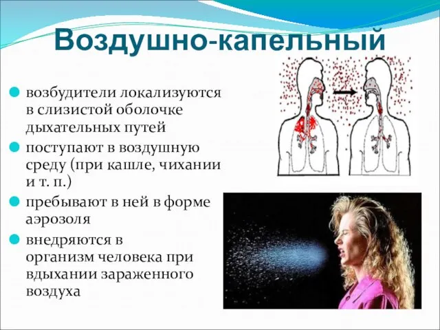 Воздушно-капельный возбудители локализуются в слизистой оболочке дыхательных путей поступают в воздушную