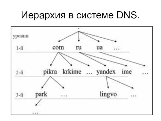 Иерархия в системе DNS.