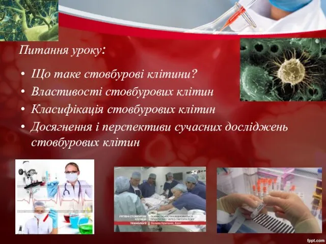 Питання уроку: Що таке стовбурові клітини? Властивості стовбурових клітин Класифікація стовбурових