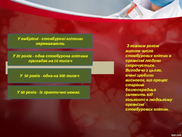 З кожним роком життя число стовбурових клітин в організмі людини скорочується.