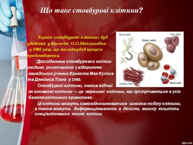 Що таке стовбурові клітини? Термін «стовбурова клітина» був уведений у біологію