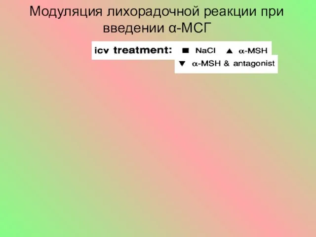 Модуляция лихорадочной реакции при введении α-МСГ