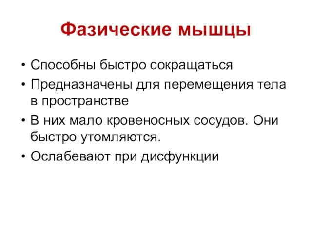 Фазические мышцы Способны быстро сокращаться Предназначены для перемещения тела в пространстве