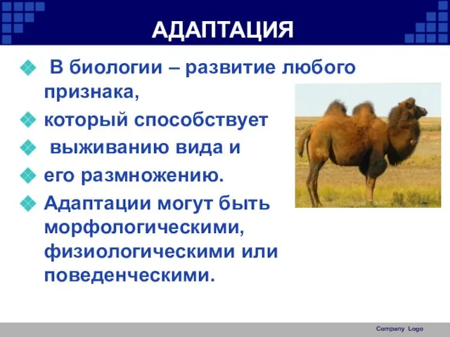 АДАПТАЦИЯ В биологии – развитие любого признака, который способствует выживанию вида