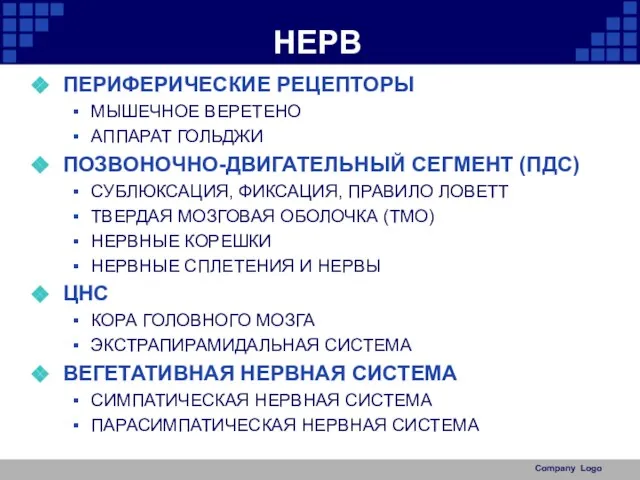 НЕРВ ПЕРИФЕРИЧЕСКИЕ РЕЦЕПТОРЫ МЫШЕЧНОЕ ВЕРЕТЕНО АППАРАТ ГОЛЬДЖИ ПОЗВОНОЧНО-ДВИГАТЕЛЬНЫЙ СЕГМЕНТ (ПДС) СУБЛЮКСАЦИЯ,