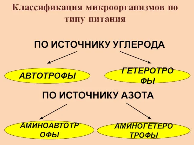 ПО ИСТОЧНИКУ УГЛЕРОДА АВТОТРОФЫ ГЕТЕРОТРОФЫ ПО ИСТОЧНИКУ АЗОТА АМИНОАВТОТРОФЫ АМИНОГЕТЕРОТРОФЫ Классификация микроорганизмов по типу питания