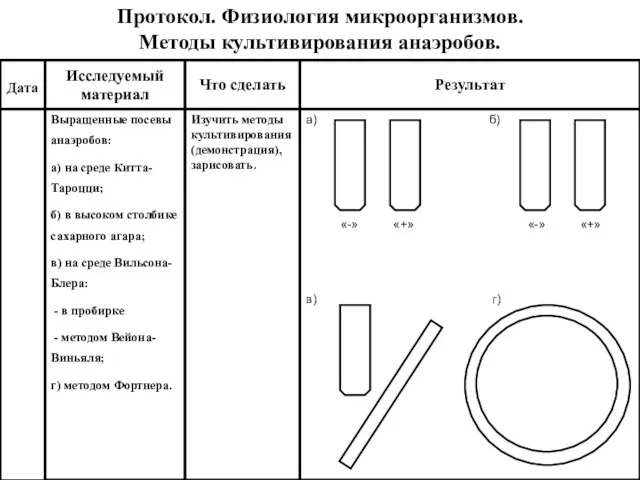 Протокол. Физиология микроорганизмов. Методы культивирования анаэробов.