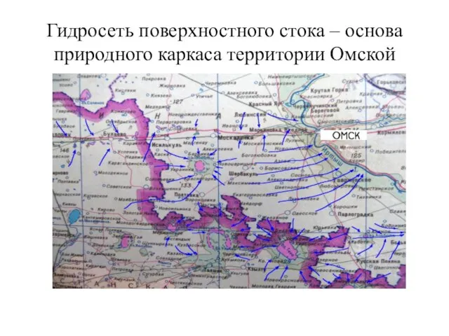 Гидросеть поверхностного стока – основа природного каркаса территории Омской