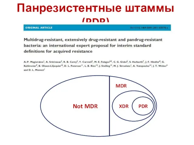 Панрезистентные штаммы (PDR) Not MDR MDR PDR XDR