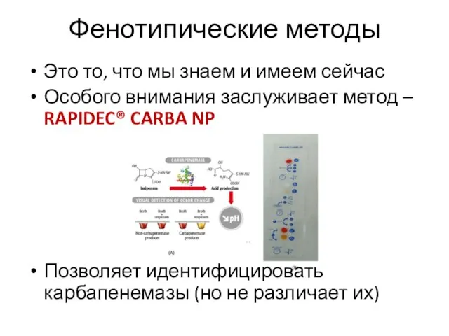 Фенотипические методы Это то, что мы знаем и имеем сейчас Особого