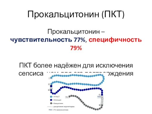 Прокальцитонин (ПКТ) Прокальцитонин – чувствительность 77%, специфичность 79% ПКТ более надёжен