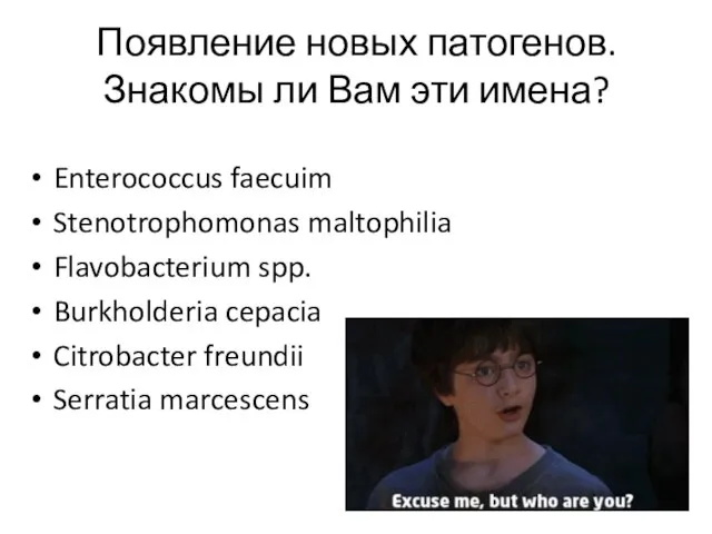 Появление новых патогенов. Знакомы ли Вам эти имена? Enterococcus faecuim Stenotrophomonas