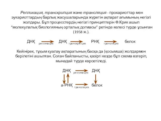 Репликация, транскрипция және трансляция - прокариоттар мен эукариоттардың барлық жасушаларында жүретiн
