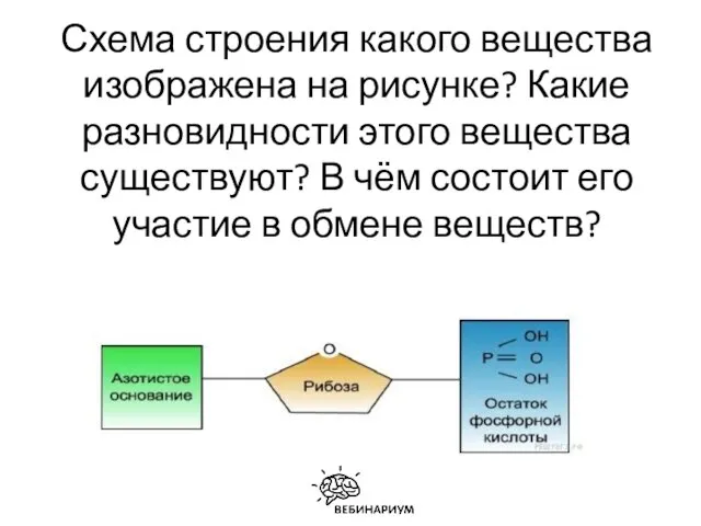 Схема строения какого вещества изображена на рисунке? Какие разновидности этого вещества