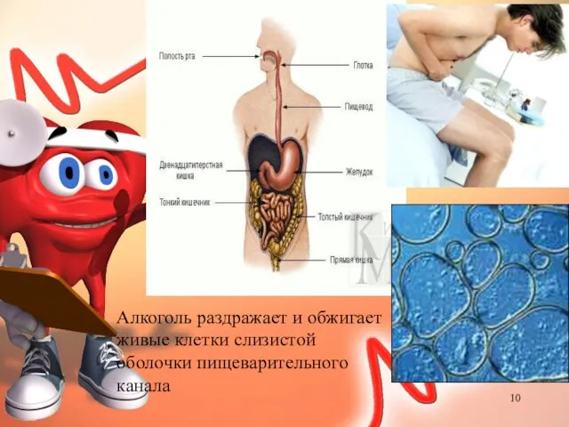 Алкоголь раздражает и обжигает живые клетки слизистой оболочки пищеварительного канала