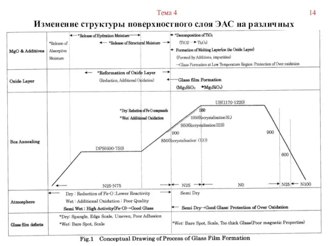 Изменение структуры поверхностного слоя ЭАС на различных стадиях ее обработки Тема 4