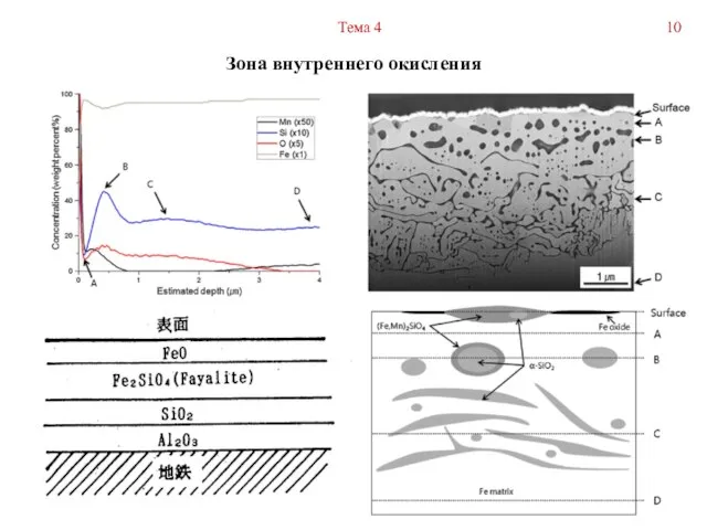 Тема 4 Зона внутреннего окисления