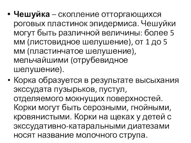 Чешуйка – скопление отторгающихся роговых пластинок эпидермиса. Чешуйки могут быть различной