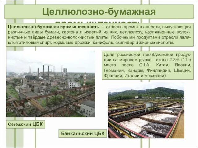 Целлюлозно-бумажная промышленность Доля российской лесобумажной продук-ции на мировом рынке - около