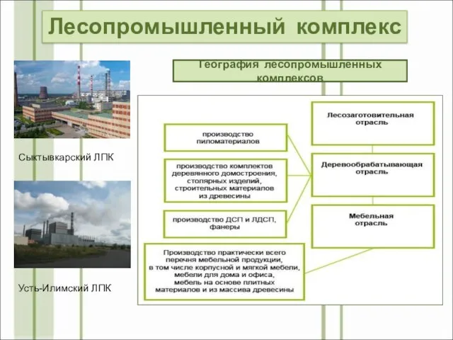 Архангельск Сыктывкар Братск Усть-Илимск Красноярск Амурск Лесосибирск Лесопромышленные комплексы Структура лесопромышленного