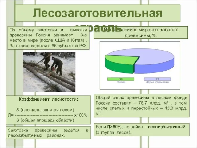 Доля России в мировых запасах древесины, %. Общий запас древесины в