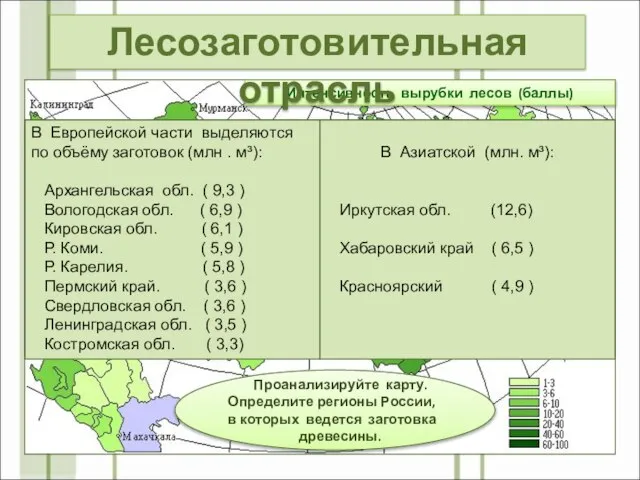 Интенсивность вырубки лесов (баллы) Проанализируйте карту. Определите регионы России, в которых