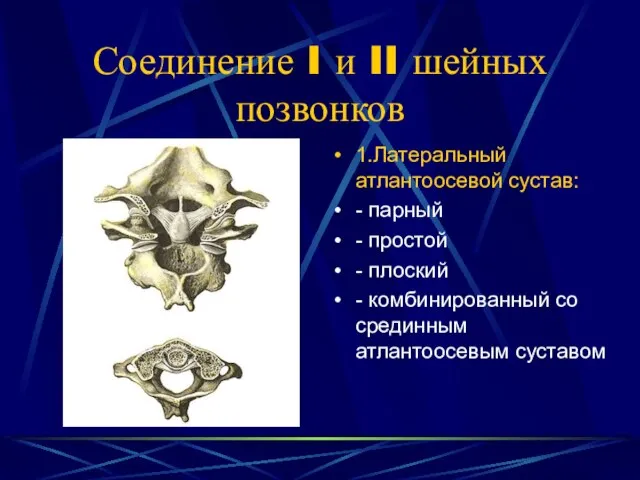 Соединение I и II шейных позвонков 1.Латеральный атлантоосевой сустав: - парный