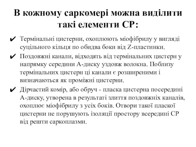 В кожному саркомері можна виділити такі елементи СР: Термінальні цистерни, охоплюють