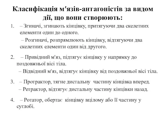 Класифікація м′язів-антагоністів за видом дії, що вони створюють: 1. – Згиначі,