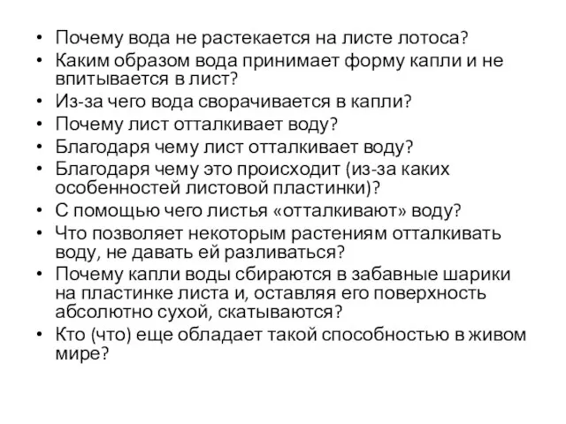 Почему вода не растекается на листе лотоса? Каким образом вода принимает