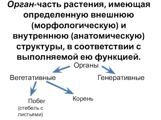 Орган-часть растения, имеющая определенную внешнюю (морфологическую) и внутреннюю (анатомическую) структуры, в соответствии с выполняемой ею функцией.