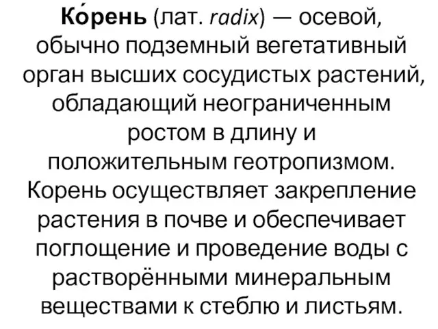 Ко́рень (лат. radix) — осевой, обычно подземный вегетативный орган высших сосудистых