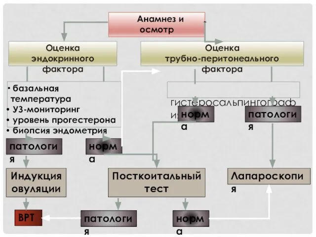 Анамнез и осмотр Оценка эндокринного фактора Оценка трубно-перитонеального фактора гистеросальпингография базальная