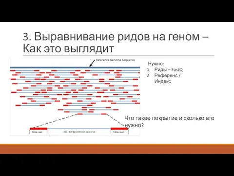 3. Выравнивание ридов на геном – Как это выглядит Нужно: Риды