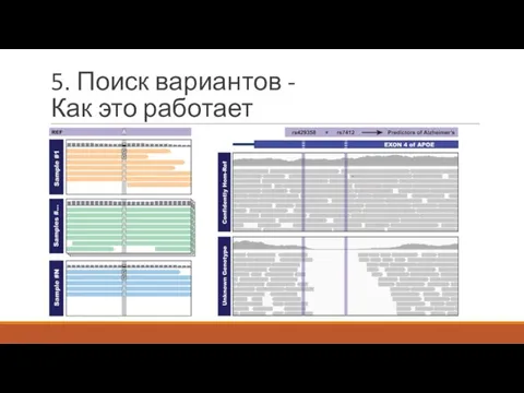 5. Поиск вариантов - Как это работает