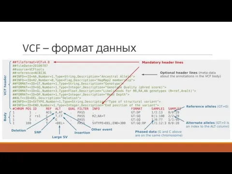 VCF – формат данных