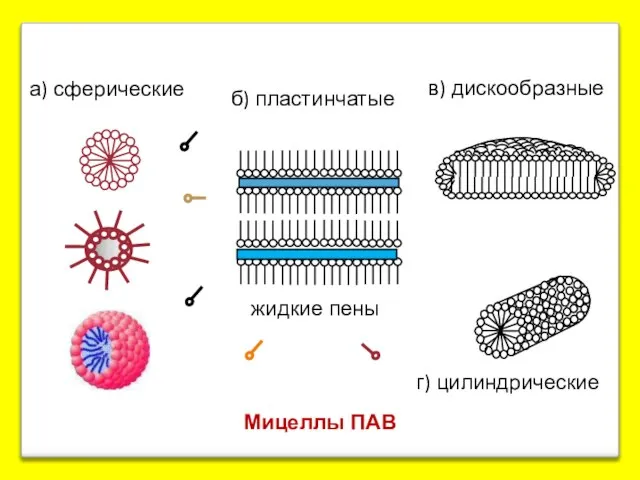 Мицеллы ПАВ а) сферические б) пластинчатые в) дискообразные г) цилиндрические жидкие пены