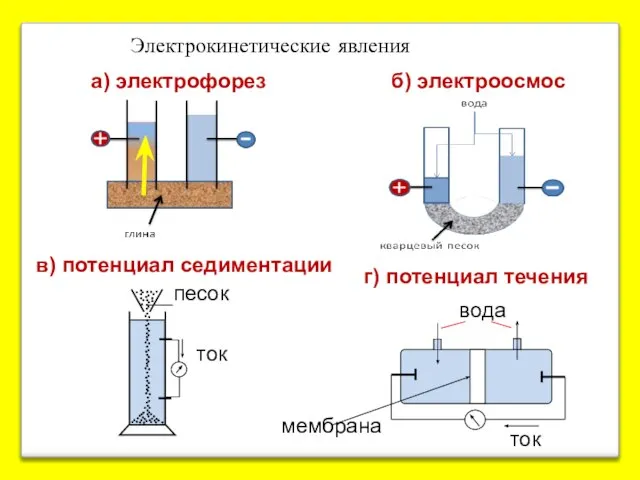 а) электрофорез б) электроосмос в) потенциал седиментации мембрана вода Электрокинетические явления