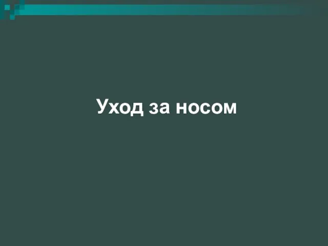 Уход за носом