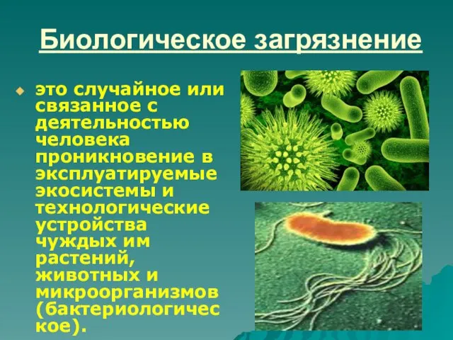 Биологическое загрязнение это случайное или связанное с деятельностью человека проникновение в